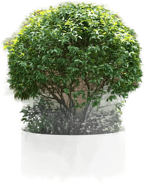 Vidaxl Plante ring 40 x 40 x 20 cm