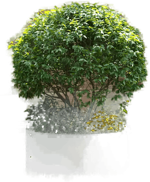 Vidaxl Plante ring Antrasitt 40 x 40 x 20 cm