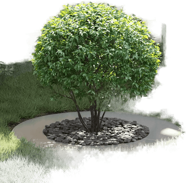 Vidaxl Flat Tre Ringer 5 pcs Ø50/80 cm