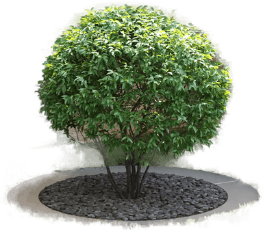 vidaXL Flat Tre Ringer 5 pcs Ø90/120 cm