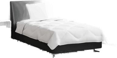 Vidaxl Sommerdyne med pute 2 pcs