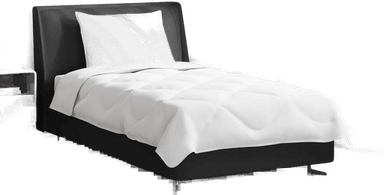 Vidaxl Sommerdyne med pute 2 pcs