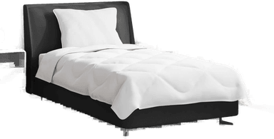 Vidaxl Sommerdyne med pute 2 pcs