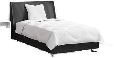 Vidaxl Sommerdyne med pute 2 pcs