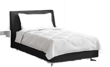 Vidaxl Dyne med pute 2 pcs Hvit