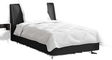 Vidaxl Dyne med pute 2 pcs Hvit