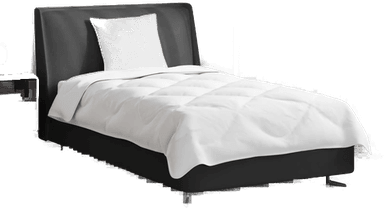 Vidaxl Dyne med pute 2 pcs Hvit