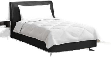 Vidaxl Dyne med pute 2 pcs Hvit