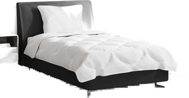 Vidaxl Dyne Sett med pute 2 pcs