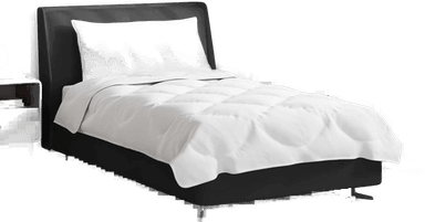 Vidaxl Dyne Sett med pute 2 pcs