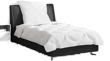 Vidaxl Dyne Sett med pute 2 pcs