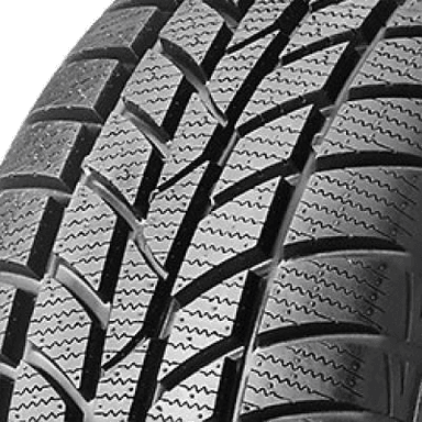 Hankook Winter i*cept RS (W442)