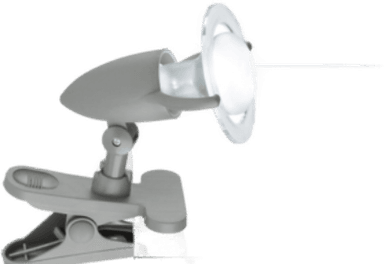 Eglo Lydia Clamp Light