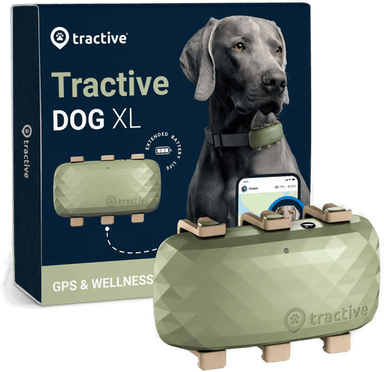 Tractive GPS Dog XL