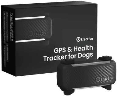 Tractive DOG 6 GPS-hundehalsbånd