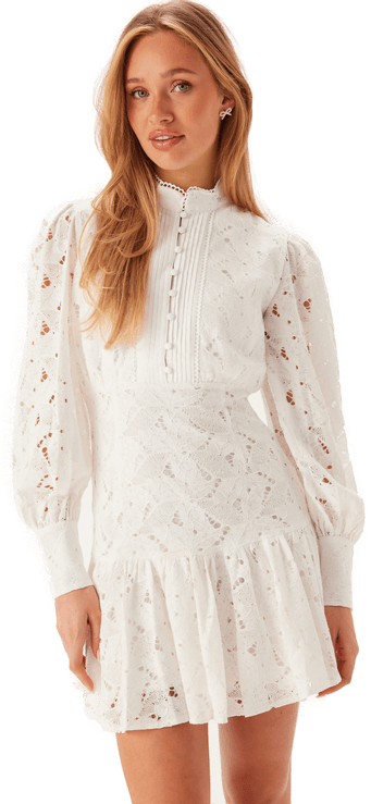 Bardot Remy Mini Lace Dress