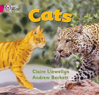 Cats av Claire Llewellyn