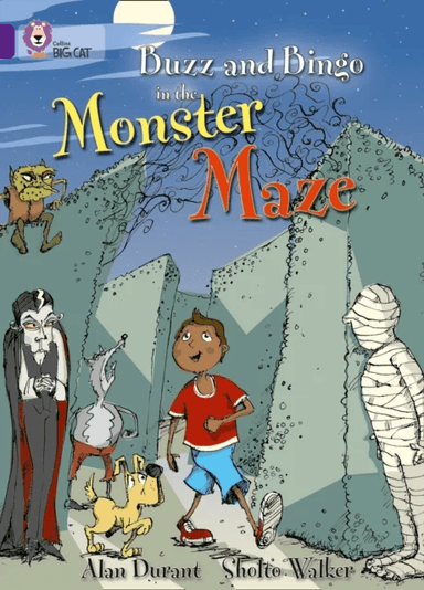 Buzz and Bingo in the Monster Maze av Alan Durant