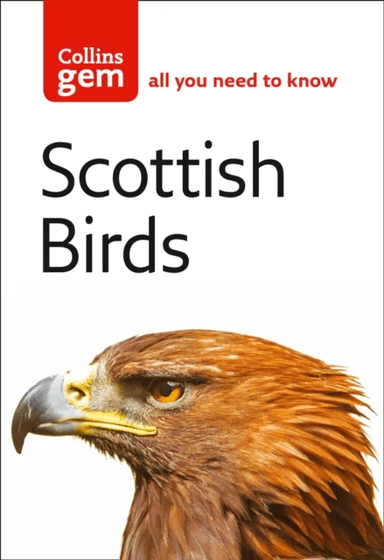 Scottish Birds av Valerie Thom