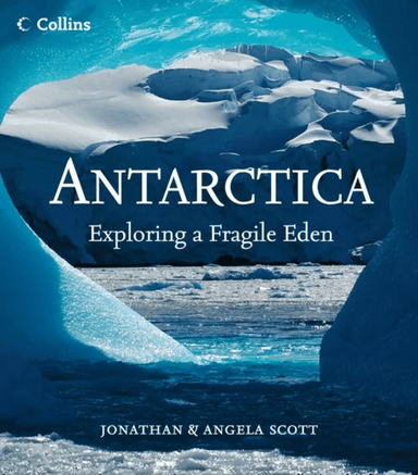 The Titian Committee av Iain Pears