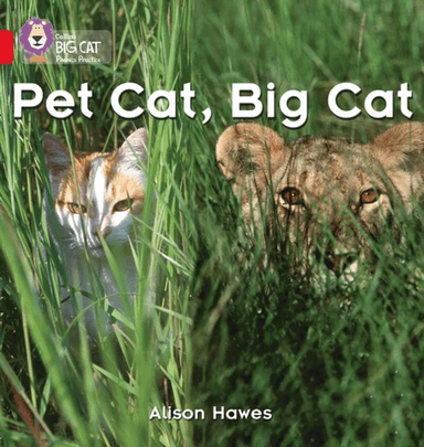 Pet Cat, Big Cat av Alison Hawes