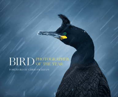 Bird Photographer of the Year av Bird Photographer of the Year