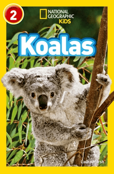 Koalas av Laura Marsh, National Geographic KIds
