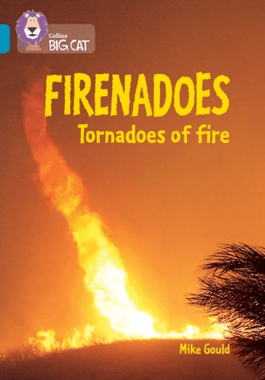 Firenadoes: Tornadoes of fire av Mike Gould