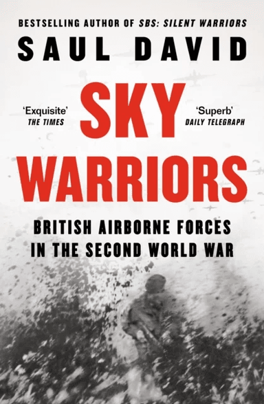Sky Warriors av Saul David