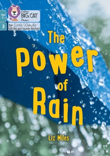The Power of Rain av Liz Miles
