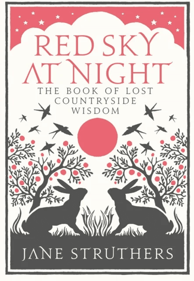 Red Sky at Night av Jane Struthers