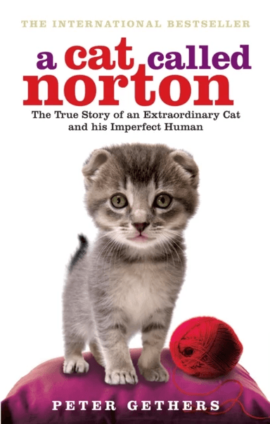 A Cat Called Norton av Peter Gethers