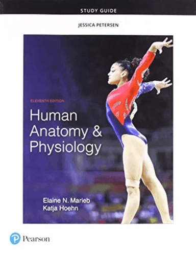 Study Guide for Human Anatomy &amp; Physiology av Elaine Marieb, Katja Hoehn
