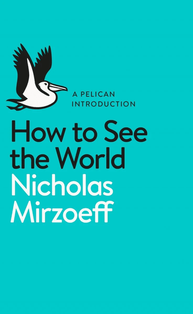 How to See the World av Nicholas Mirzoeff