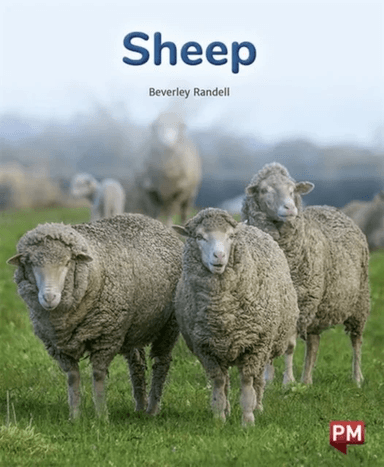 SHEEP av Beverley Randell