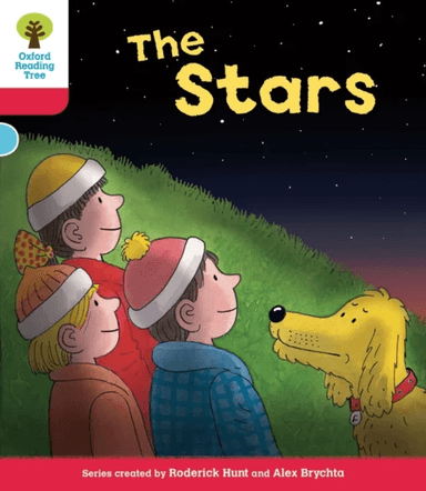 Oxford Reading Tree: Level 4: Decode and Develop Stars av Rod Hunt, Annemarie Young, Alex Brychta