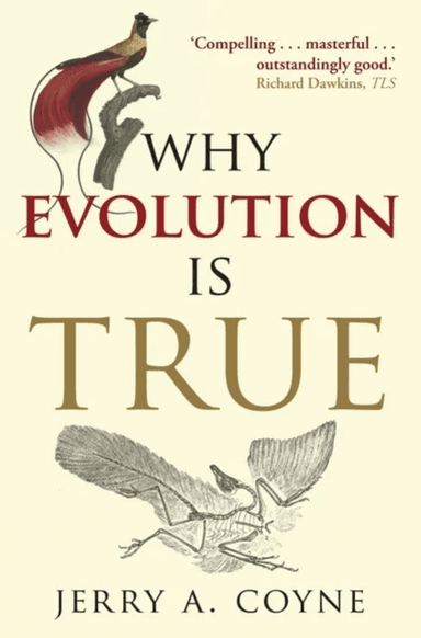 Why Evolution is True av Jerry A. (Professor of Ecology &amp; Evolution University of Chicago) Coyne