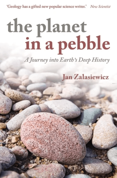The Planet in a Pebble av Jan (Professor of Palaeobiology University of Leicester) Zalasiewicz