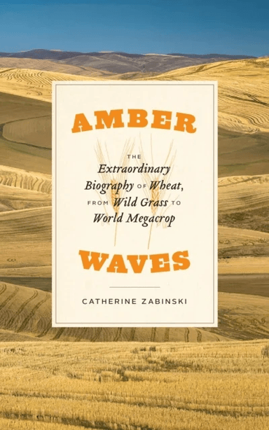 Amber Waves av Catherine Zabinski
