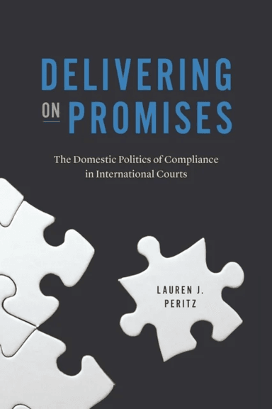 Delivering on Promises av Lauren J. Peritz
