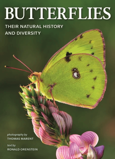 Butterflies: Their Natural History and Diversity av Ronald Orenstein