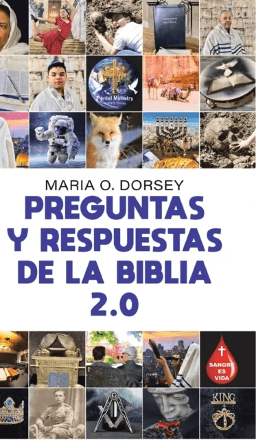 Preguntas Y Respuestas De La Biblia 2.0 av Maria O Dorsey