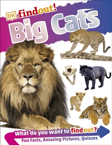 DKfindout! Big Cats av DK