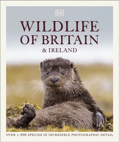 Wildlife of Britain and Ireland av DK