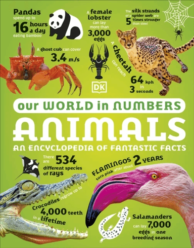Our World in Numbers Animals av DK
