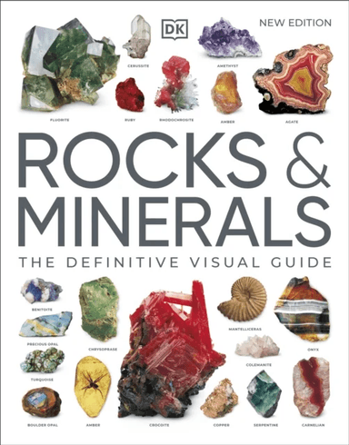 Rocks &amp; Minerals av DK