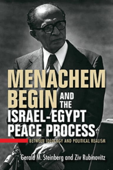 Menachem Begin and the Israel-Egypt Peace Process av Gerald M. Steinberg, Ziv Rubinovitz