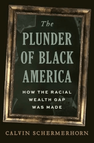 The Plunder of Black America av Calvin Schermerhorn