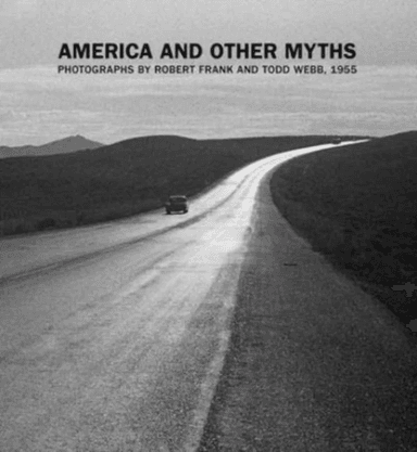 America and Other Myths av Lisa Volpe