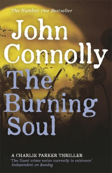 The Burning Soul av John Connolly